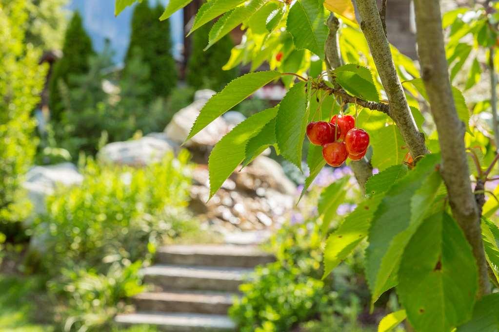 Chalet-Hotel Hermitage Chamonix Bagian luar foto